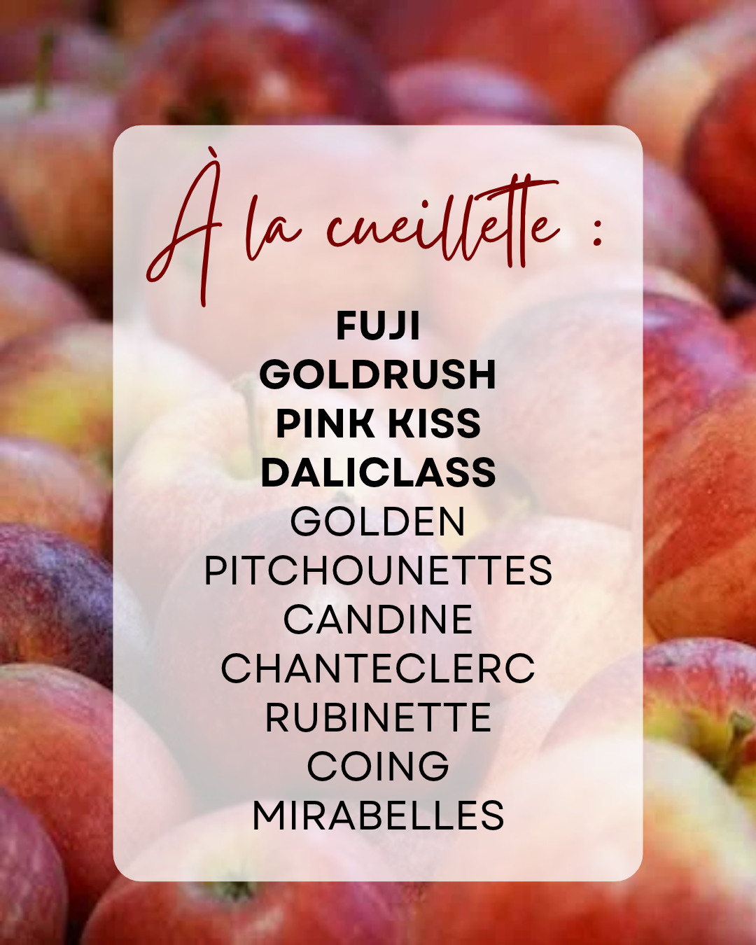 cueillette fruits vergers du moulin 2026 bis